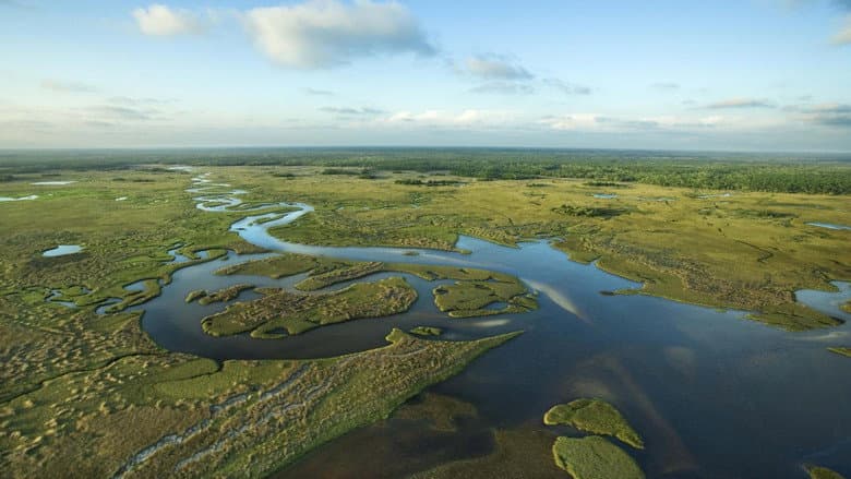 National Parks Exploration Series: The Everglades still