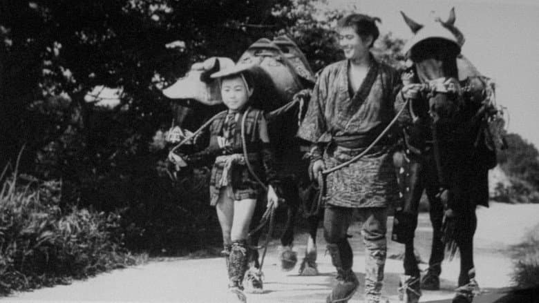 The Horse Boy still