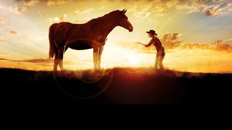 The Wild Stallion still