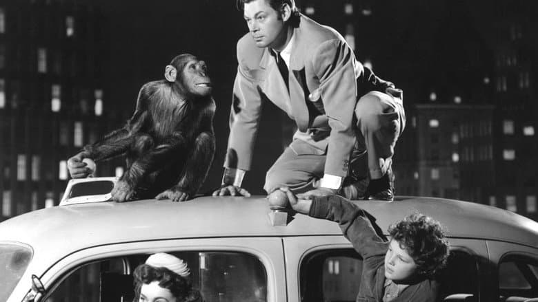 Tarzan's New York Adventure still