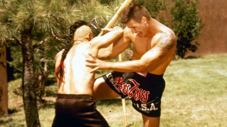 Kickboxer 4: The Aggressor still