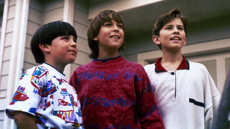 3 Ninjas still
