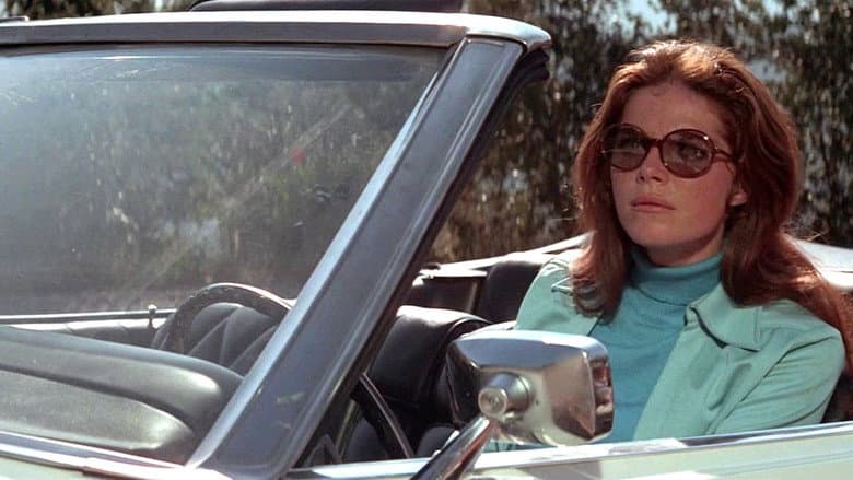The Lady in the Car with Glasses and a Gun still