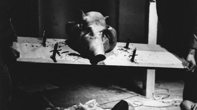 Mondo Freudo still