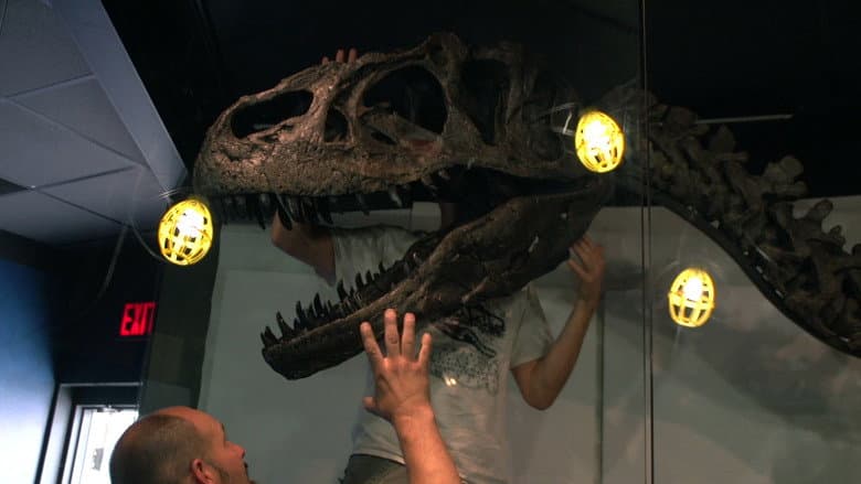 We Believe in Dinosaurs still