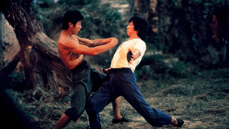 Mad Monkey Kung Fu still