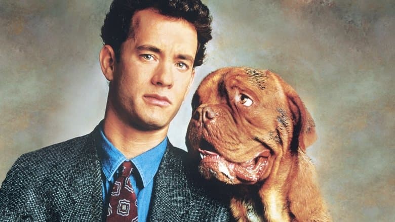 Turner & Hooch still