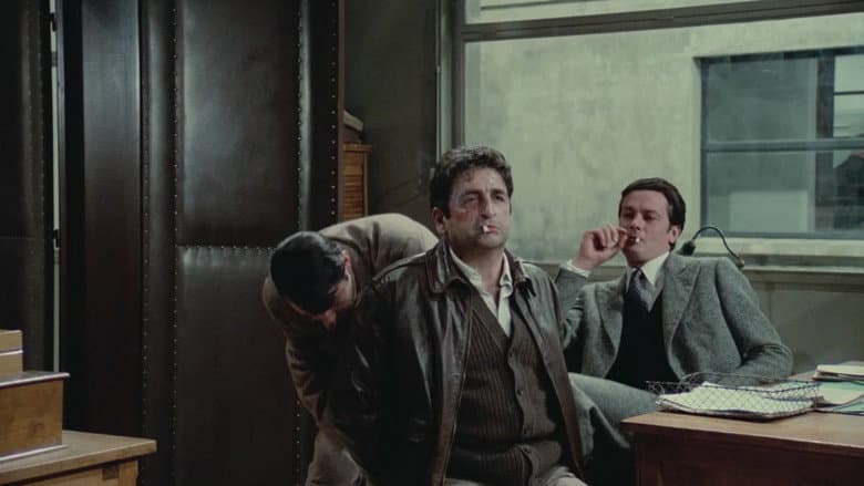 Flic Story still
