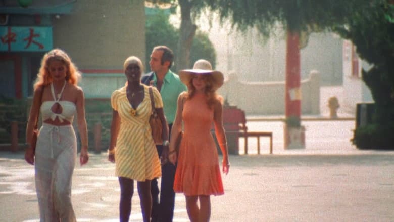 The Killing of a Chinese Bookie still