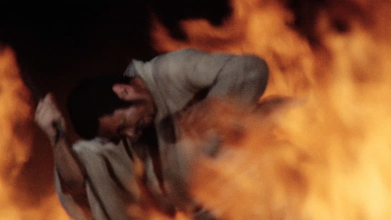 Zatoichi Goes to the Fire Festival still