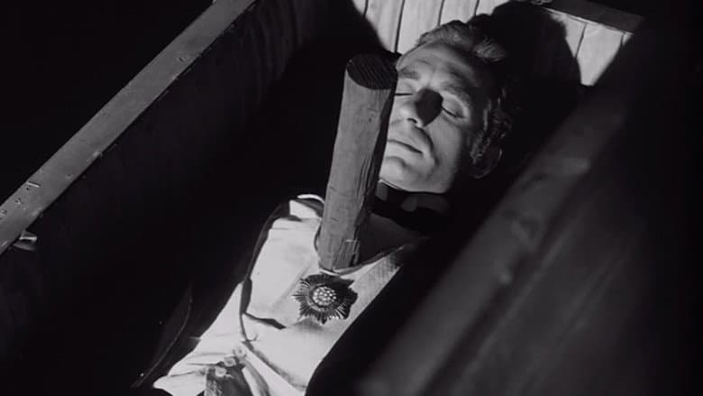 The Vampire's Coffin still