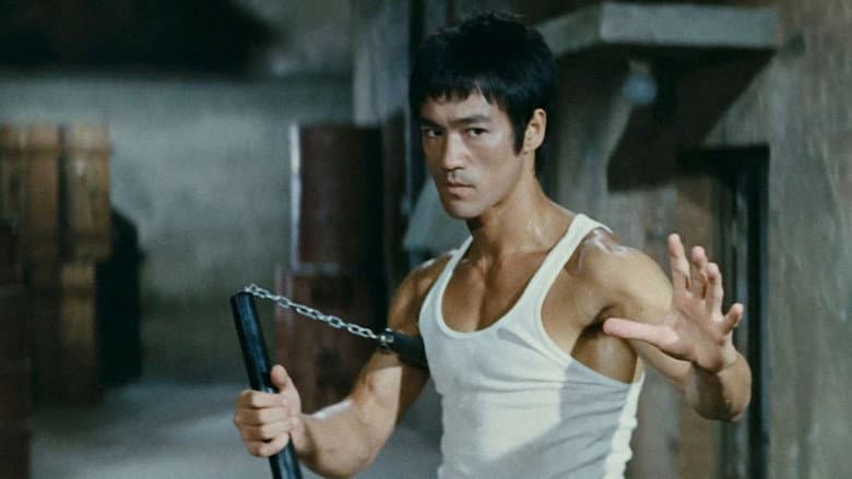 The Way of the Dragon still