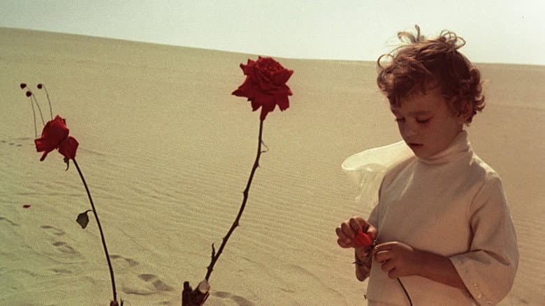 The Little Prince still