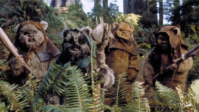 Ewoks: The Battle for Endor still