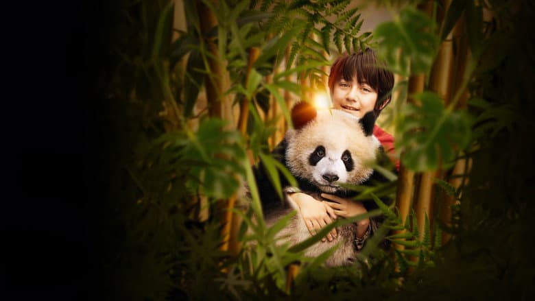 Moon the Panda still