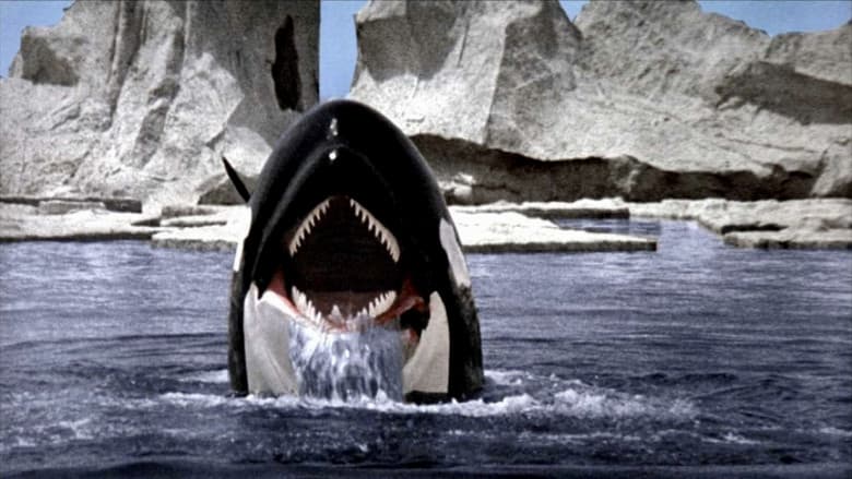 Orca still
