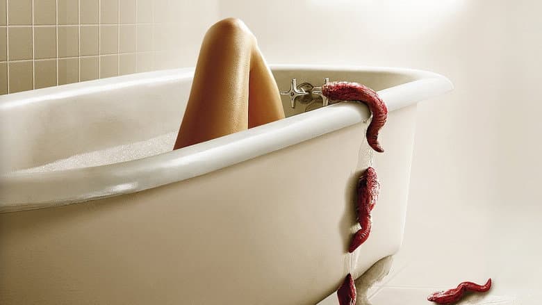 Slither still
