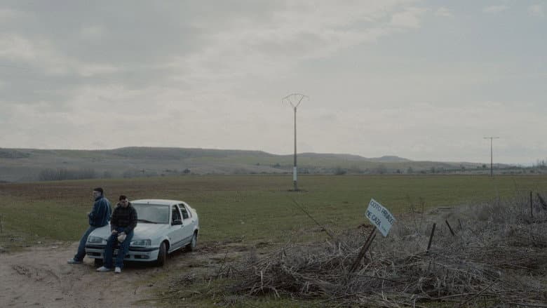 The Rooster still