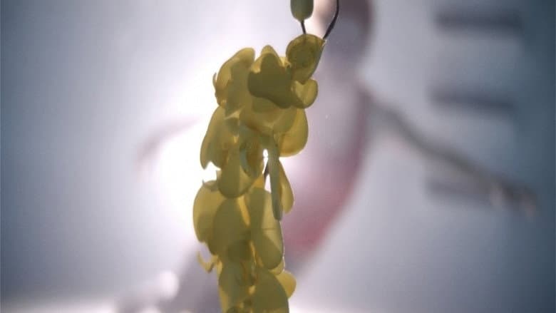 Upstream Color still