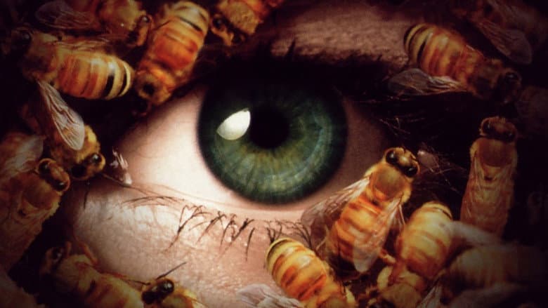 Candyman: Day of the Dead still
