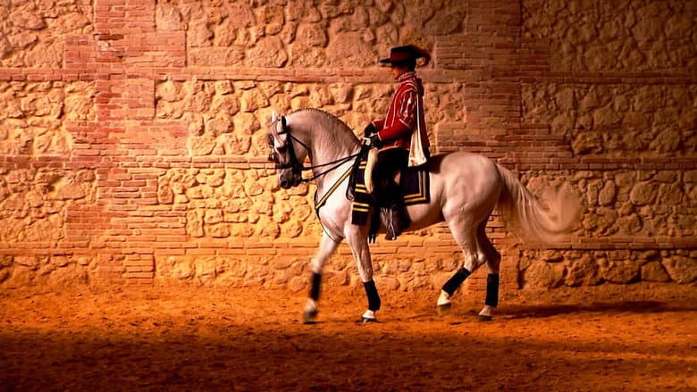 Horse of Kings, Thief of Hearts still