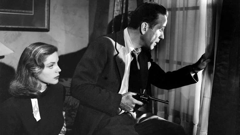The Big Sleep still