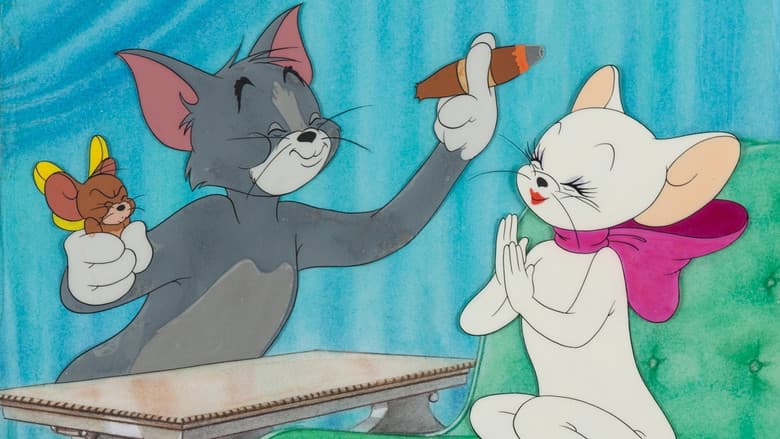 Casanova Cat still