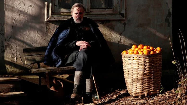 Tangerines still