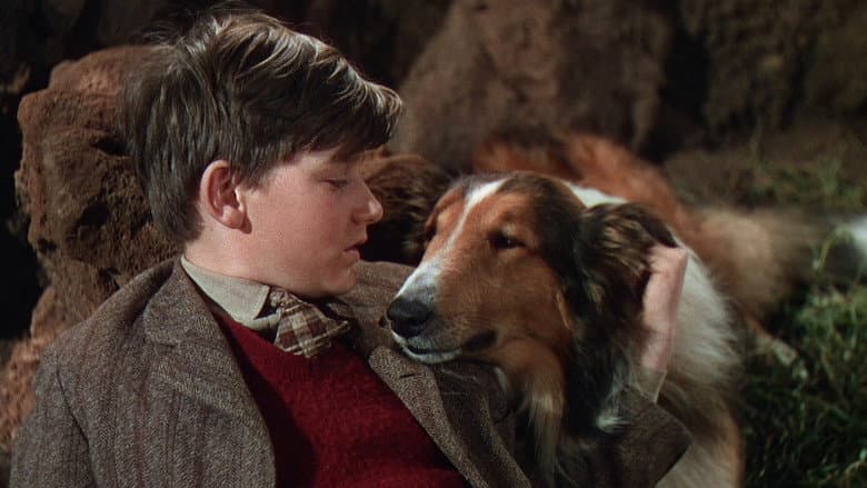 Lassie Come Home still