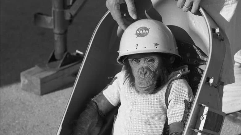 One Small Step: The Story of the Space Chimps still