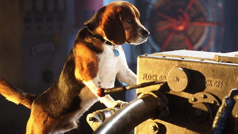 Cats & Dogs still