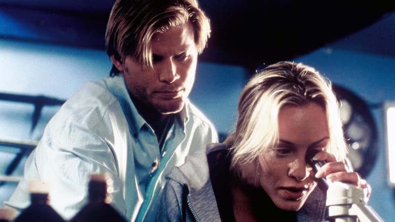 Shark Attack still