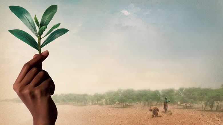 The Great Green Wall still