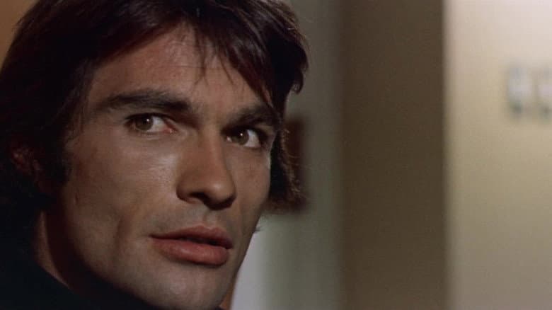 The Violent Professionals still