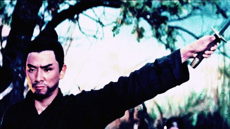 The One-Armed Swordsman still