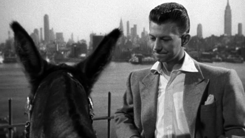 Francis Covers the Big Town still