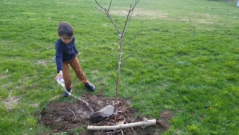Planting Earth Week still