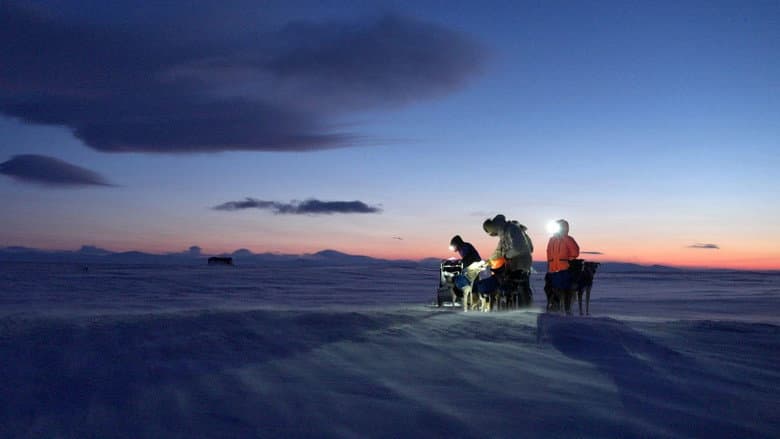 Musher, l'appel de l'Alaska still