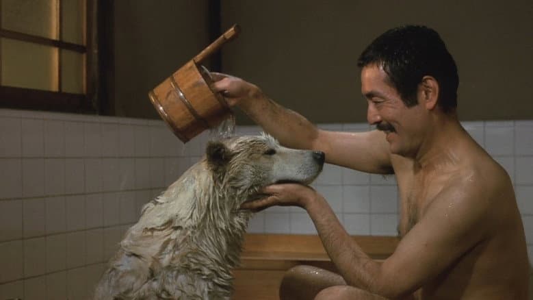 Hachiko still