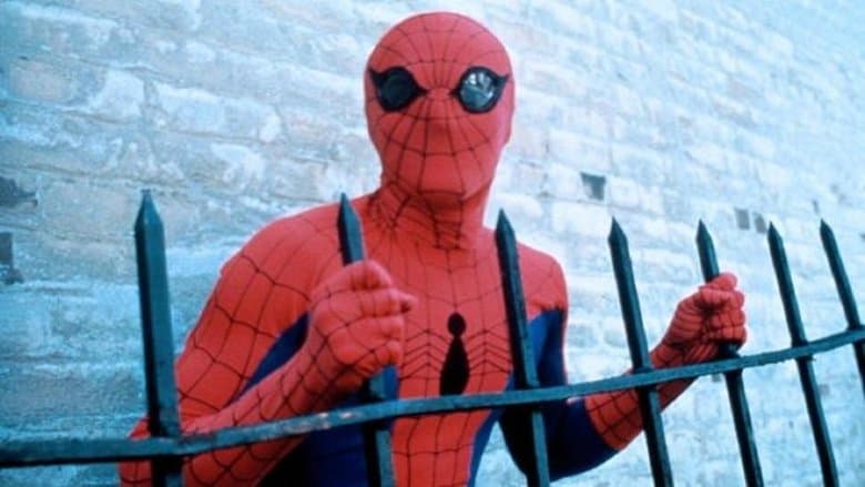 Spider-Man still