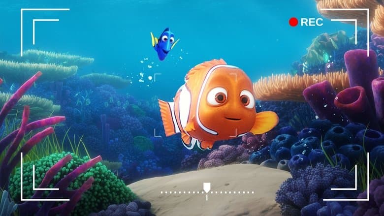 Dory's Reef Cam still