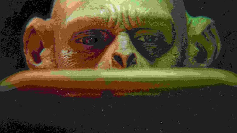 Humanzee still