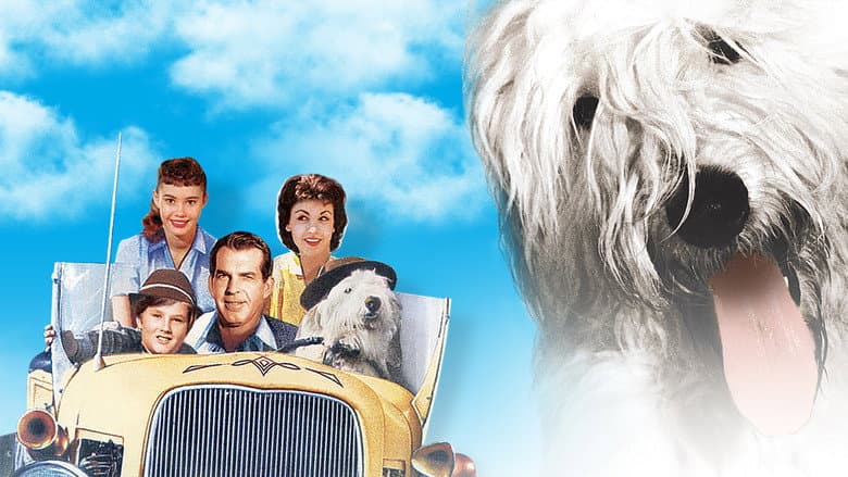 The Shaggy Dog still