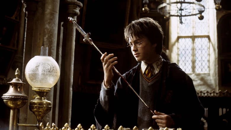 Harry Potter and the Chamber of Secrets still