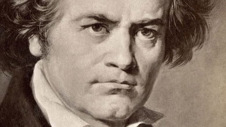 Beethoven privat still