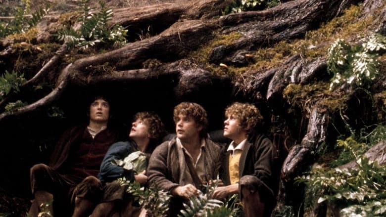 The Lord of the Rings: The Fellowship of the Ring still