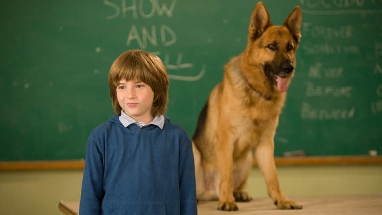 Cool Dog still