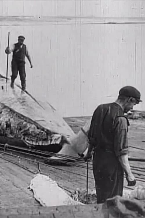 Whaling Afloat and Ashore poster