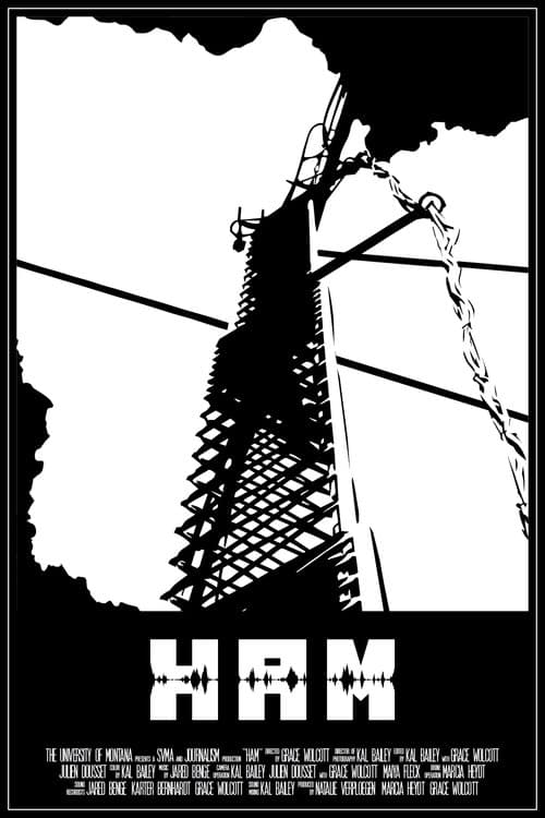 Ham poster