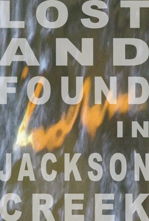 Lost and Found in Jackson Creek poster